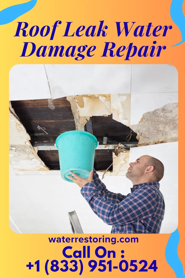 Roof Leak Water Damage Repair in Seven Oaks, TX